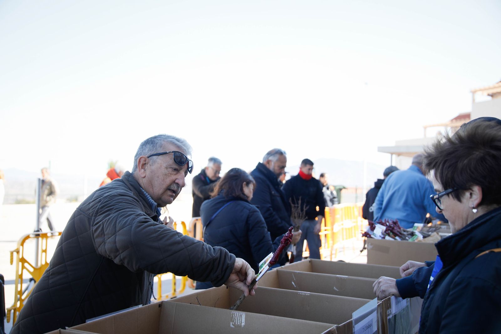 Imágenes del reparto de Parras en Alhama de Almería