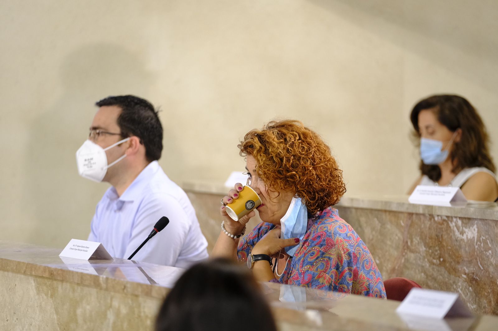 Fotogalería pleno ordinario del Ayuntamiento de Almería