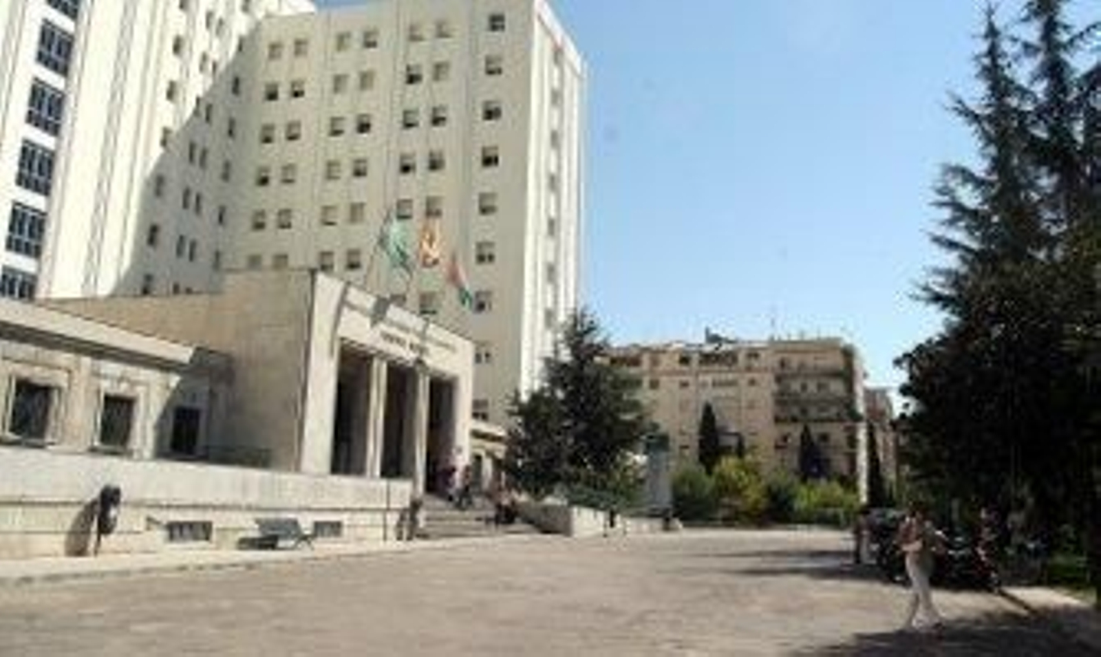 Científicos de Granada logran construir por primera vez piel artificial con células madre del cordón umbilical