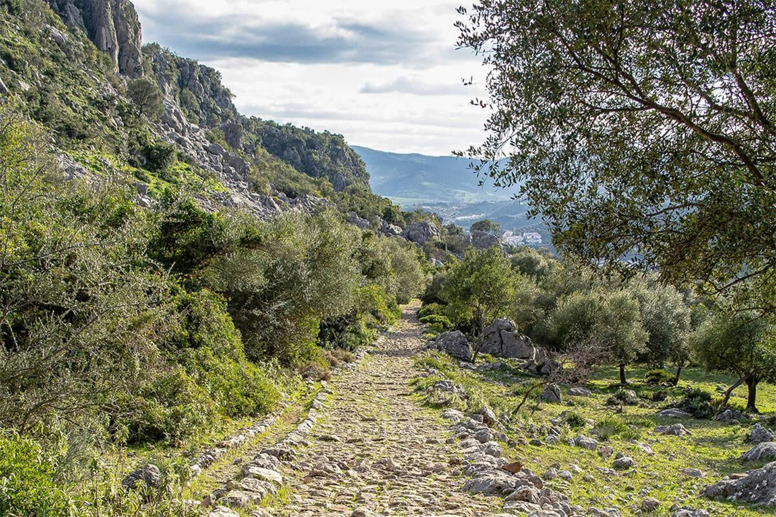 Sendero Calzada Romana Ubrique