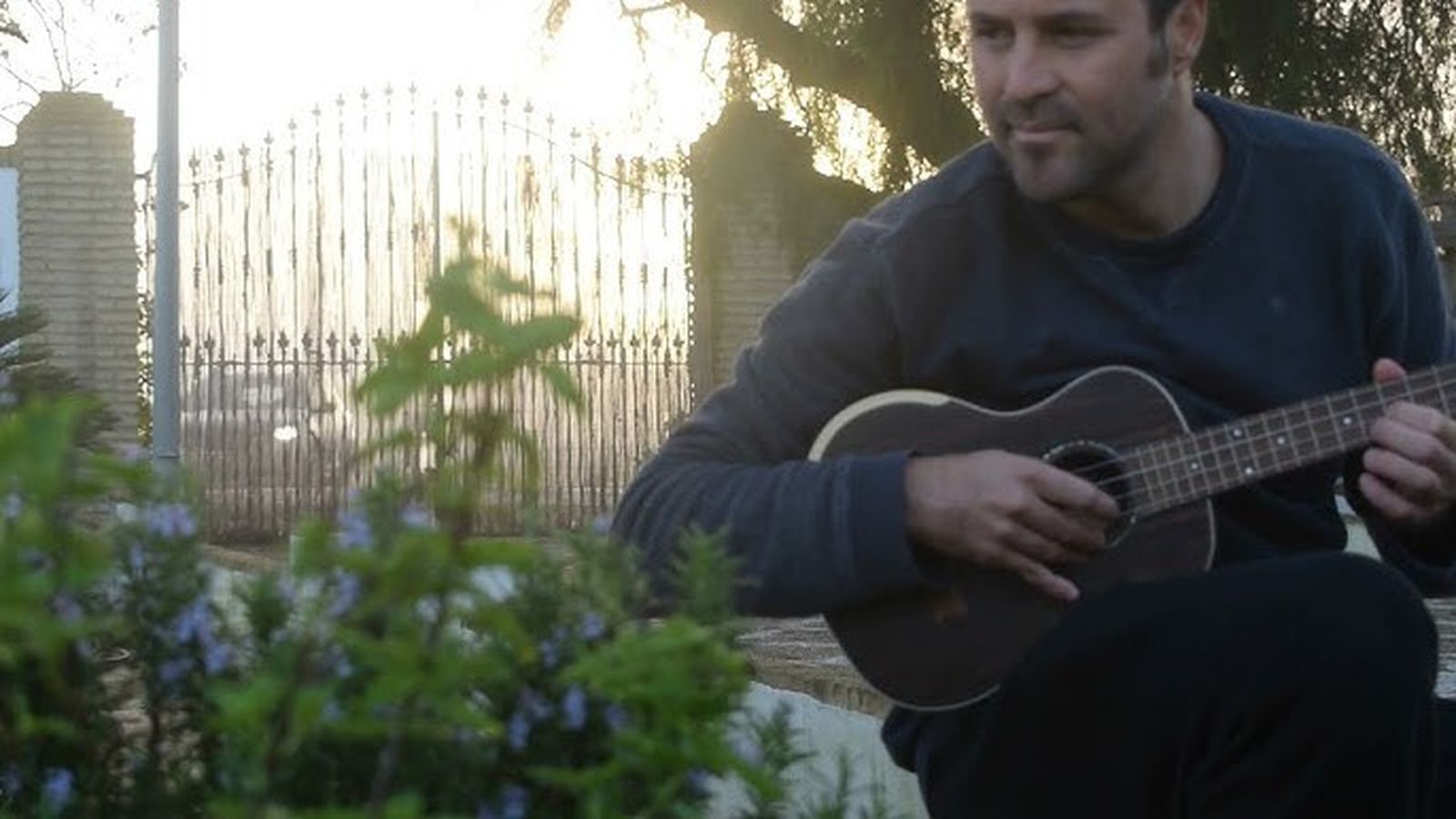 El músico Sebastián Serpell.