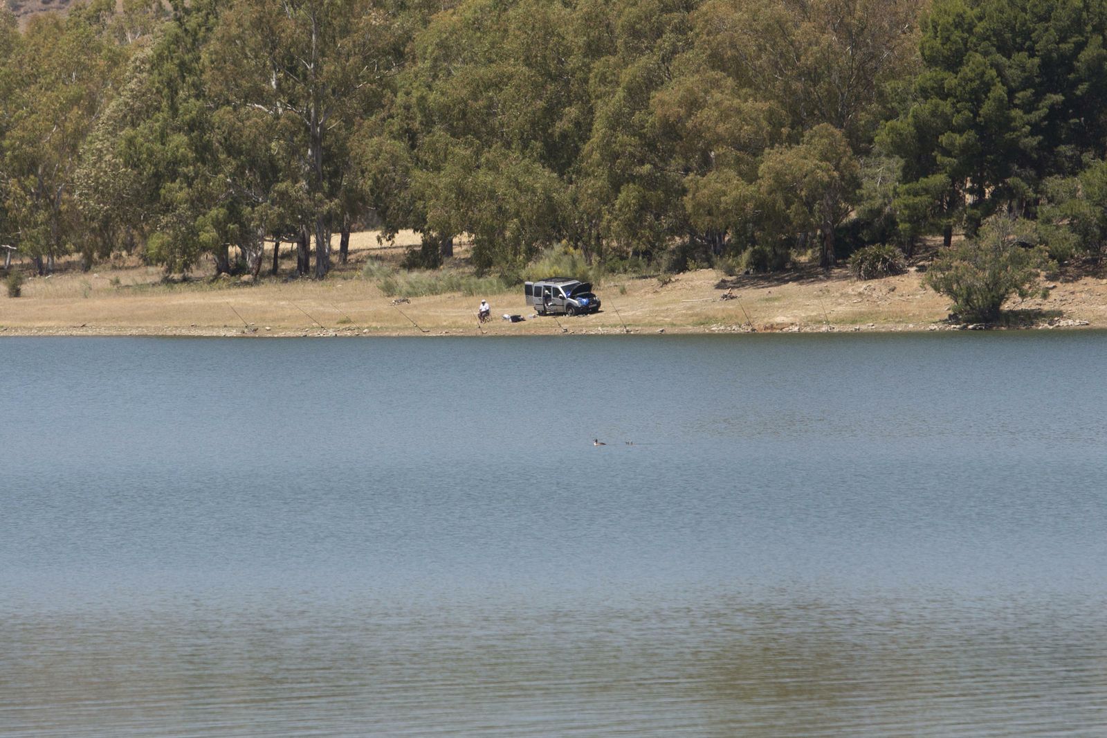 Un aficionado a la pesca con varias cañas lanzadas.