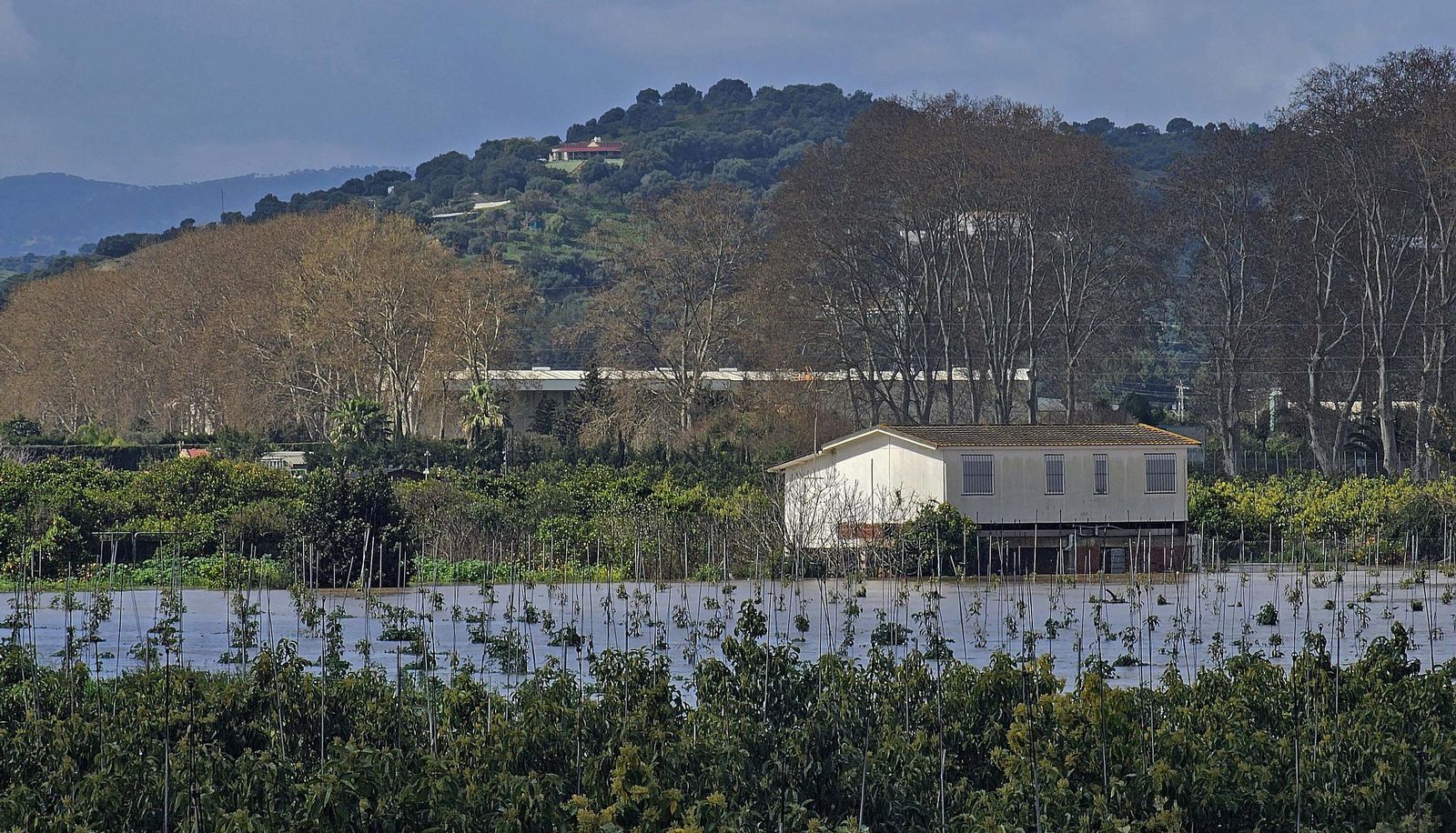 Fotos de las inundaciones en San Martín del Tesorillo