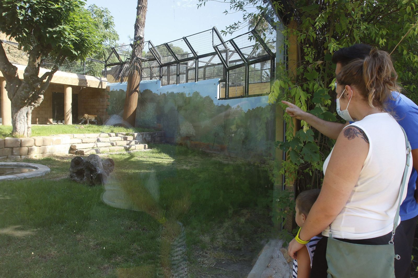 Las fotografías de la reapertura del Zoo de Córdoba tras el coronavirus