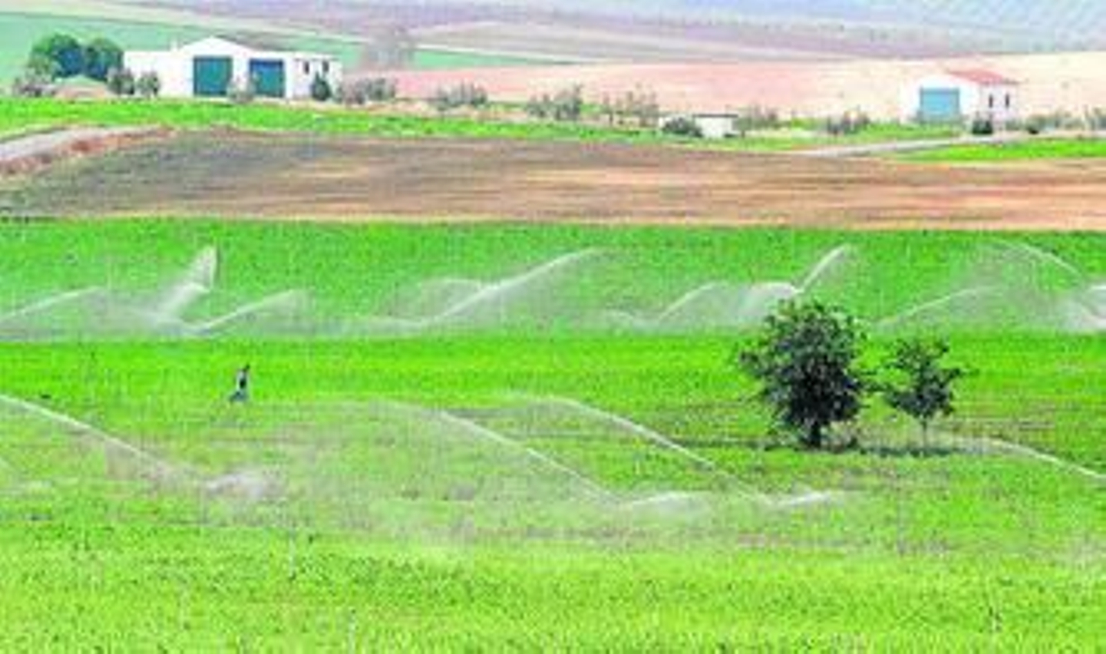 Las tarifas eléctricas del riego encarecen los costes de producción de los cultivos.