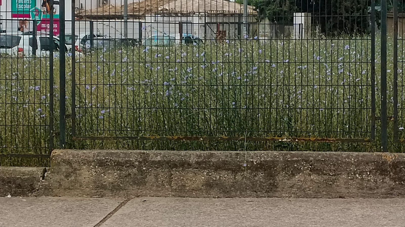 Otra imagen de la zona.