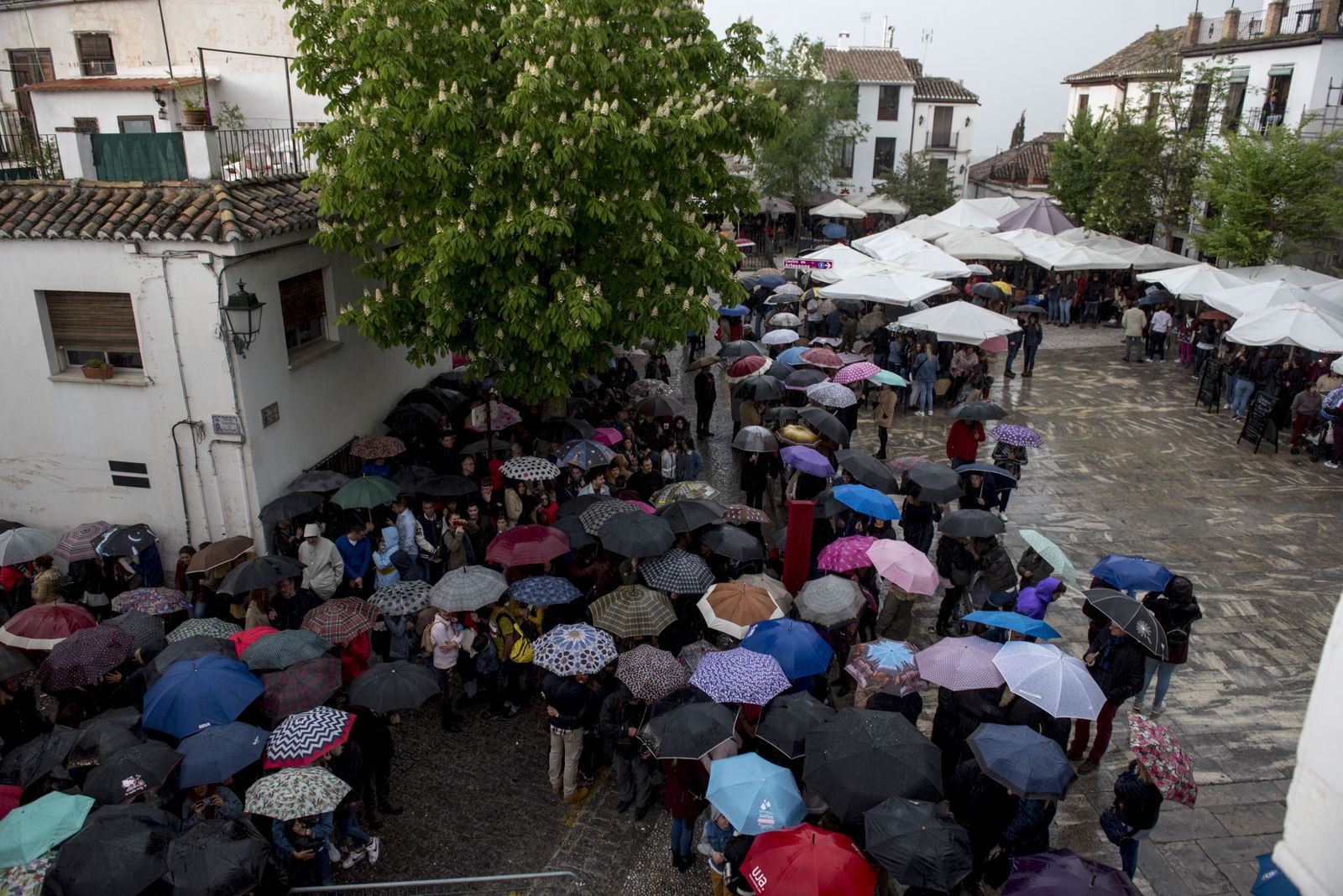 Galería de fotos de La Aurora en el Jueves Santo