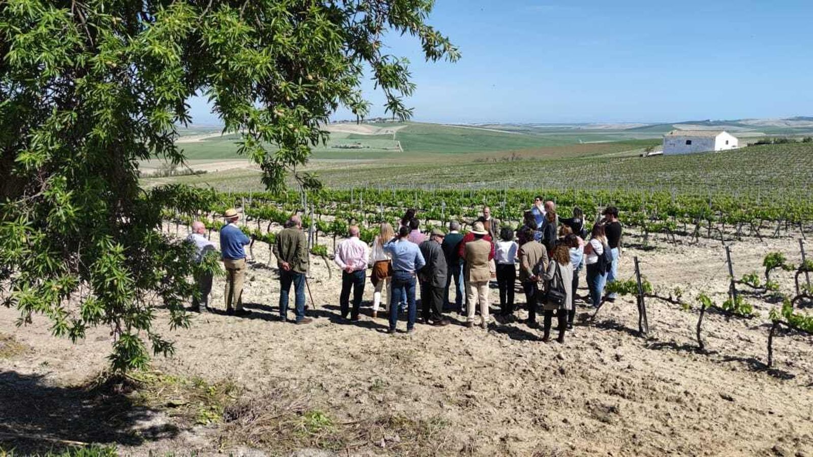 Una imagen de la visita a la zona ecológica de la Viña Dos Mercedes.