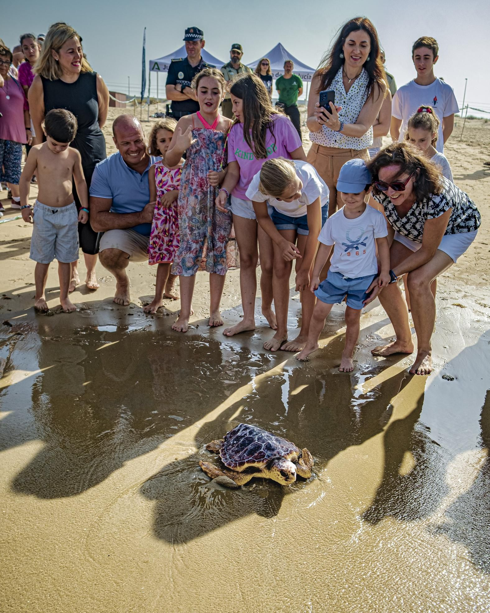 Las imágenes de la vuelta al mar de tres tortugas marinas en la playa de Cortadura, en Cádiz.