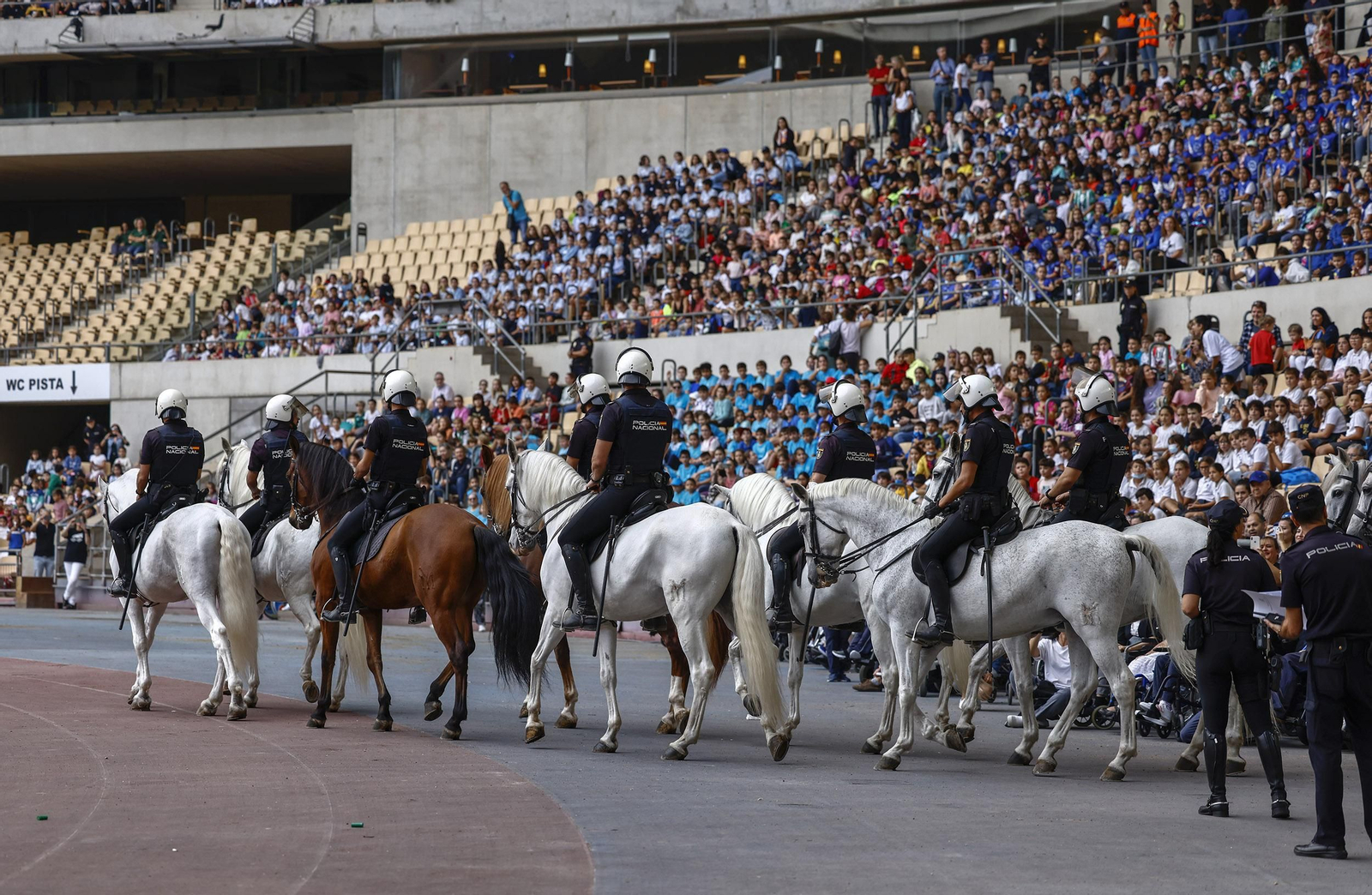 La exhibición de la Policía Nacional en el Estadio de la Cartuja, en imágenes