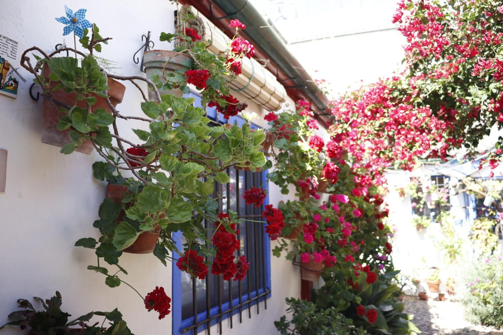 Patio de Marroquíes, 6