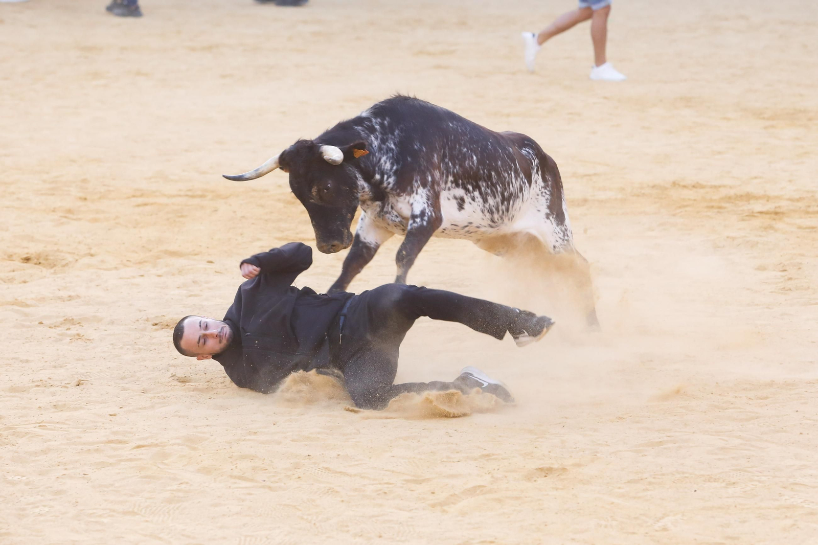 Fotos del Toro del Aguardiente en San Roque
