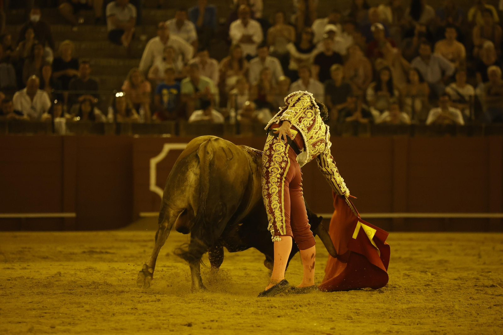 Las imágenes de la novillada en la Maestranza