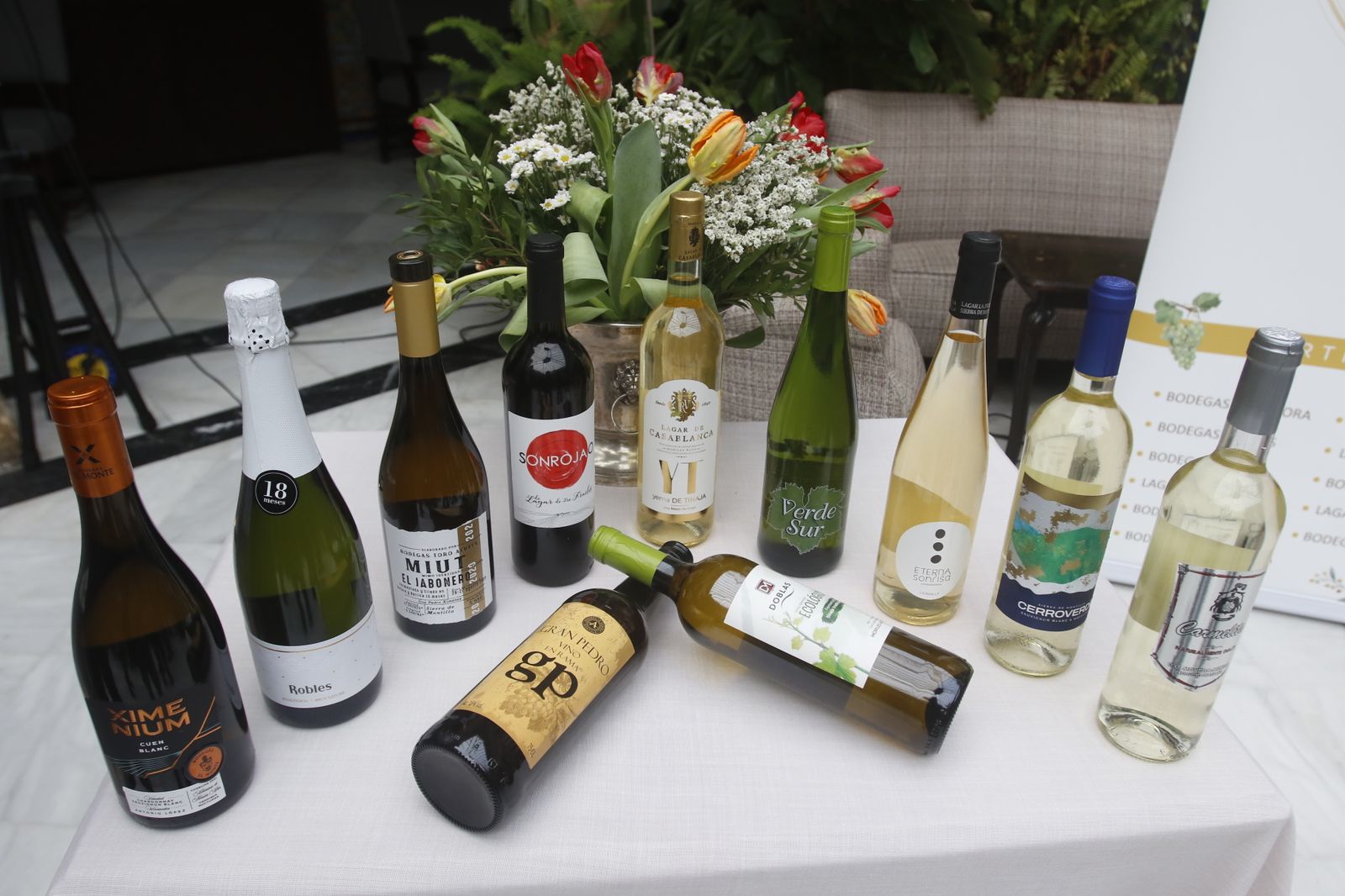 La presentación en sociedad de los vinos nuevos de Moriles y Montilla, en imágenes