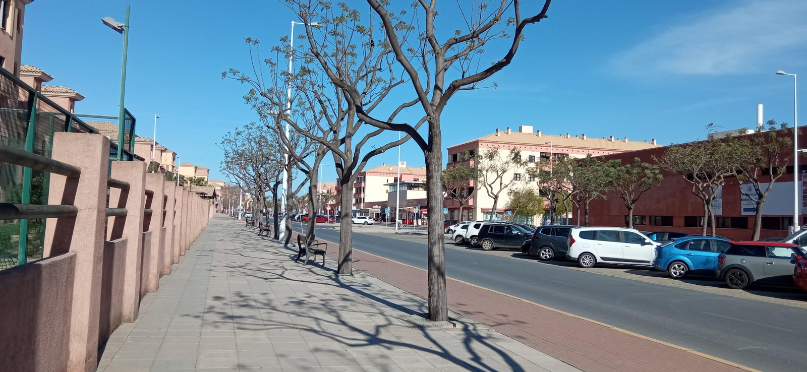 Las imágenes de la ruta de las salinas del Astur y los pinares de Punta Umbría