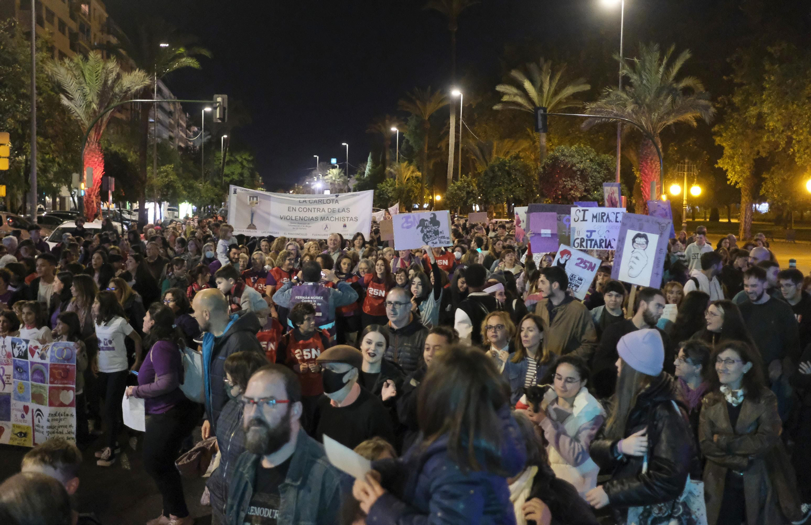 La manifestación en Córdoba contra la violencia de género, en fotografías