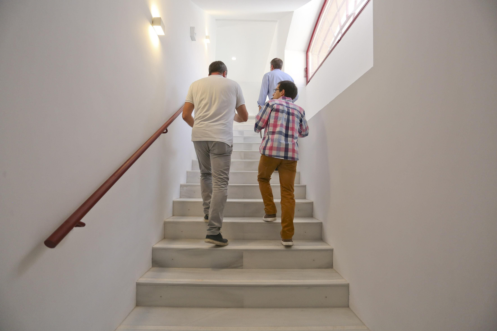 Rehabilitación de la plaza de toros de La Malagueta