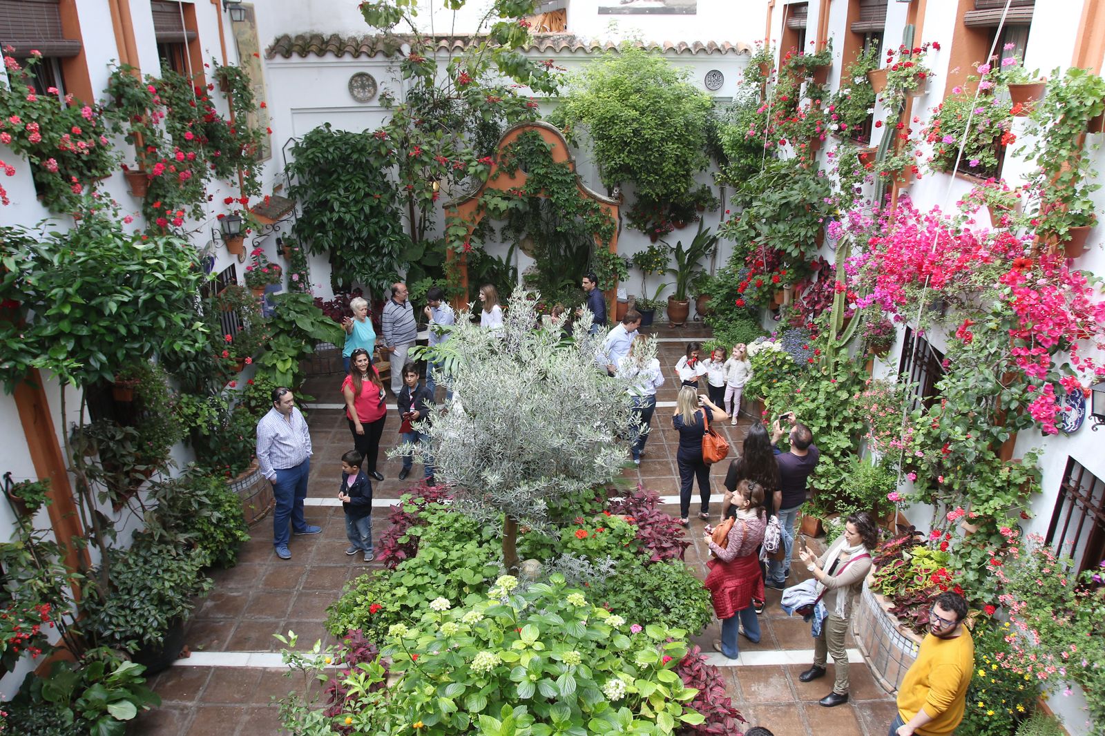 Ambiente en los patios ganadores de 2017