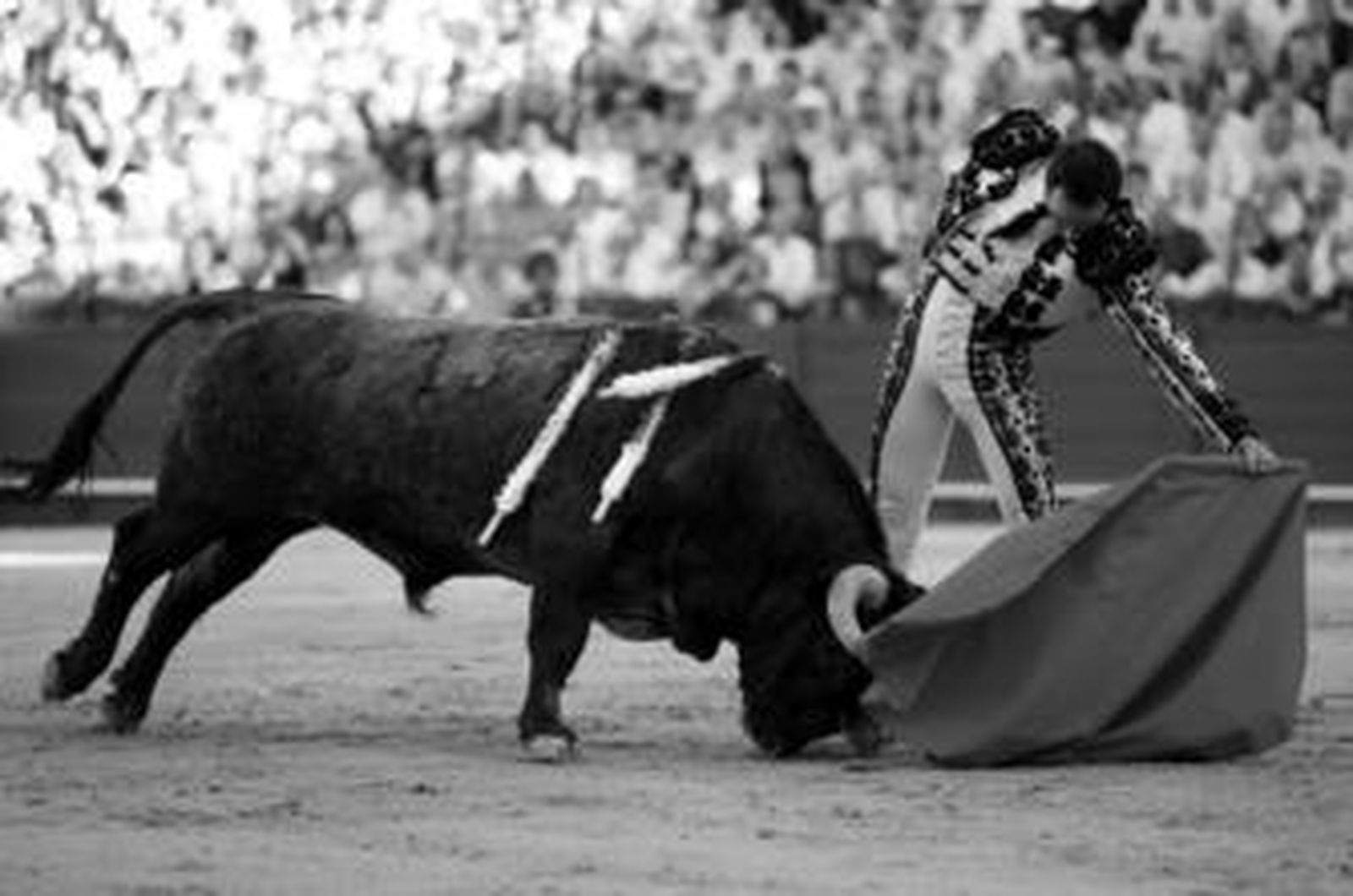 Manuel Jesús El Cid toreando al natural a un toro de Victorino en la pasada Feria de Sevilla.