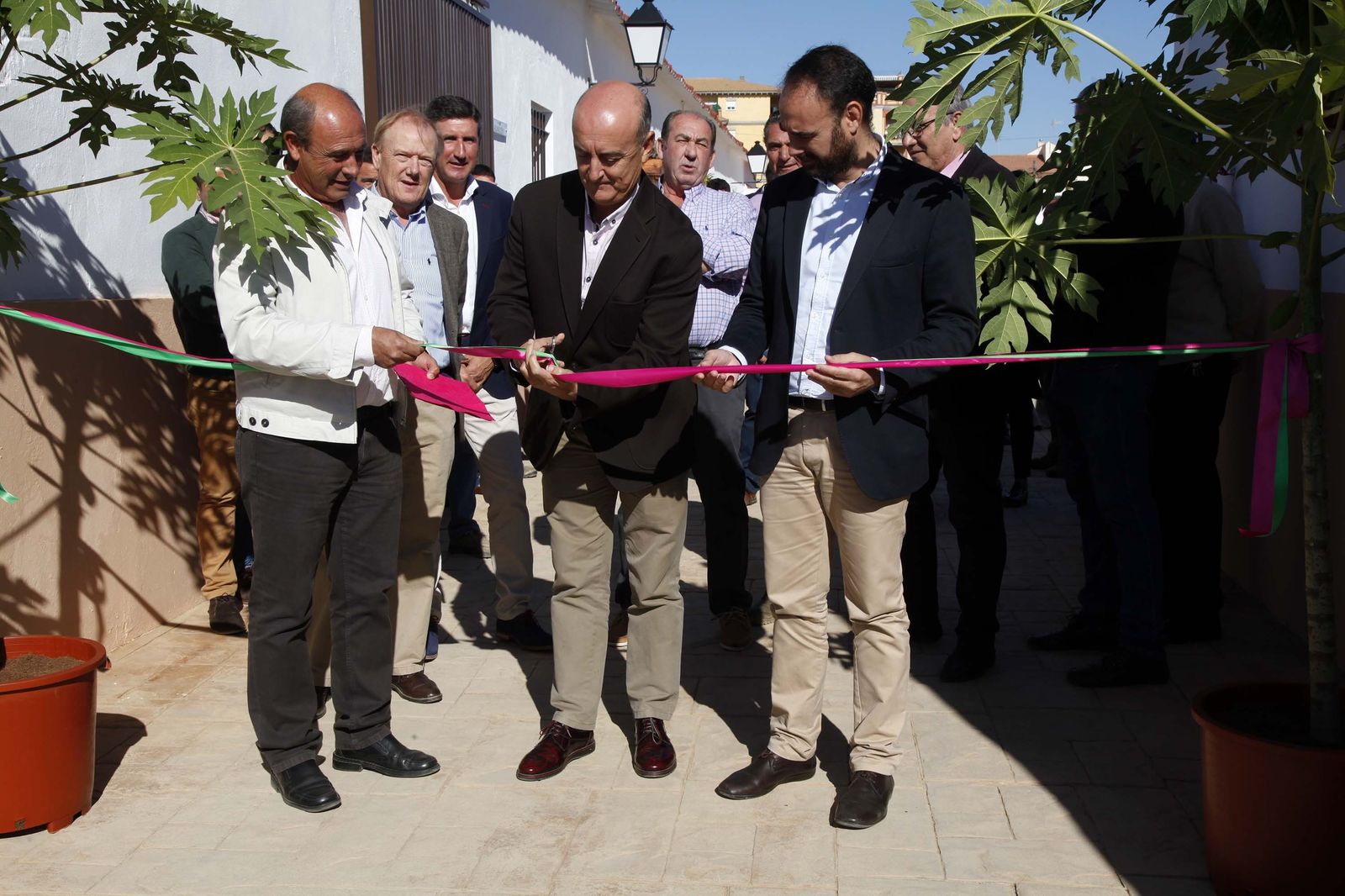 Los productores observan nuevas variedades que se desarrollan en la finca experimental.