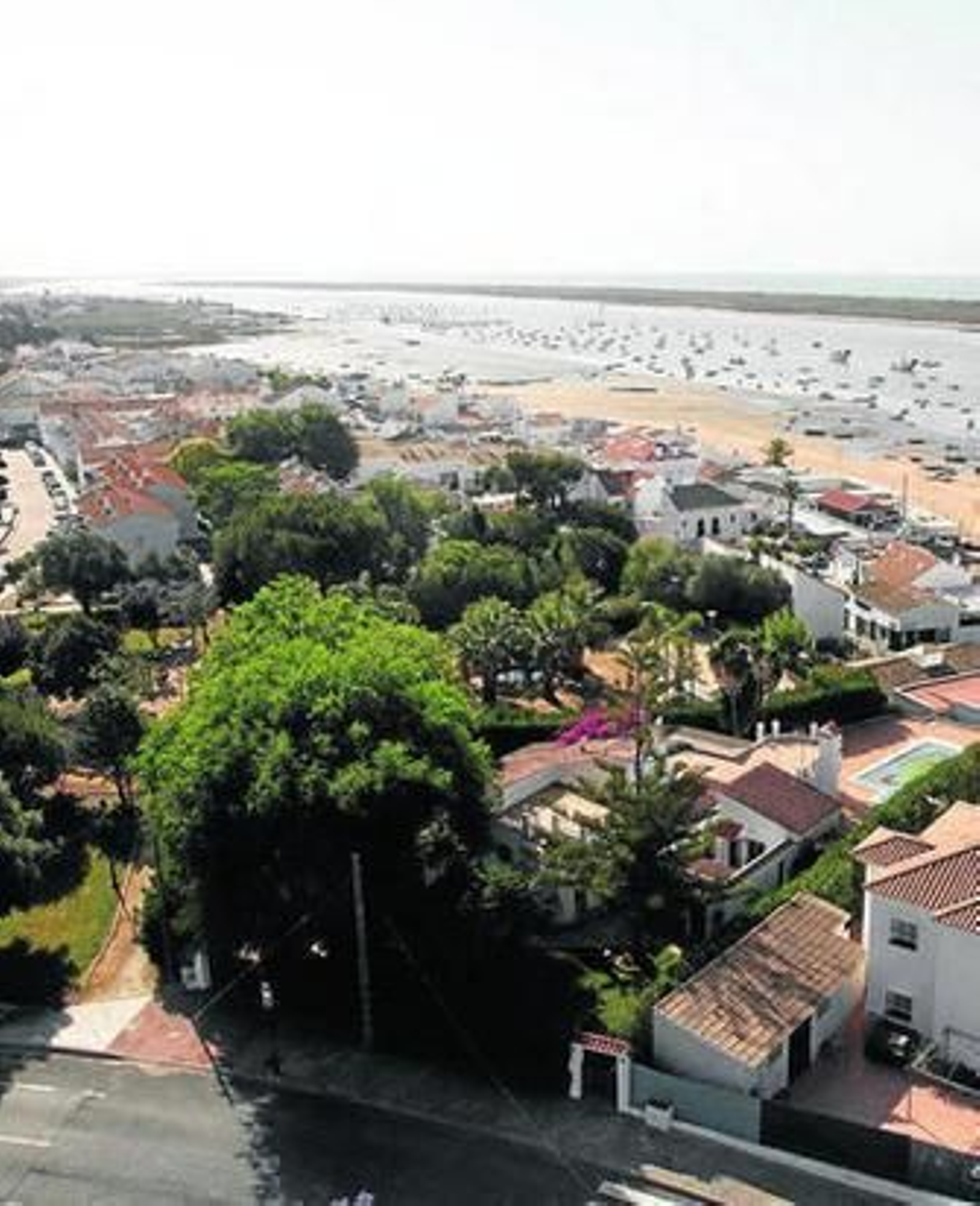 Vista aérea del El Rompido, con la ría y la flecha al fondo.