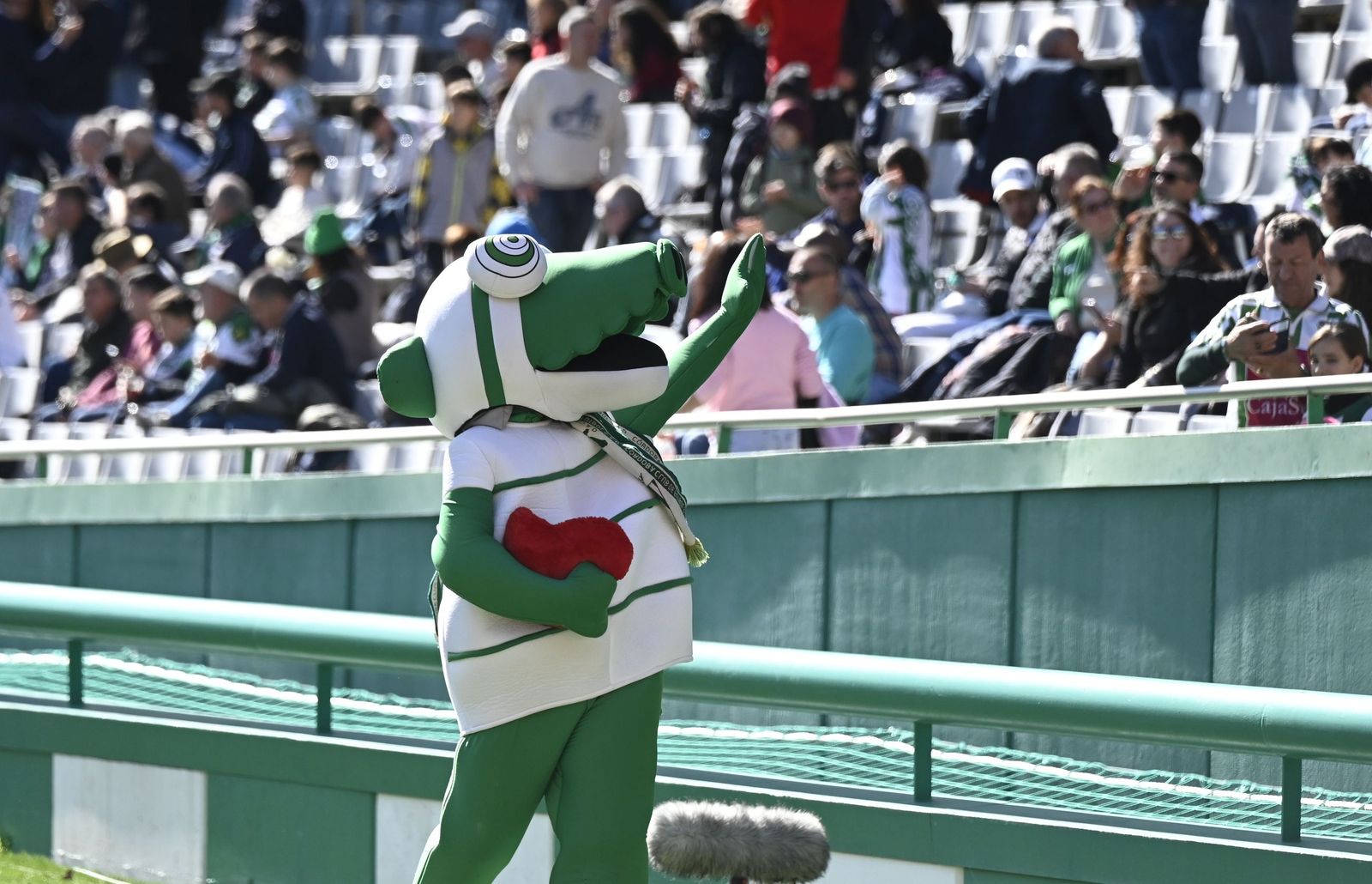 Las mejores fotos del ambiente en El Arcángel para el Córdoba CF - Leganés