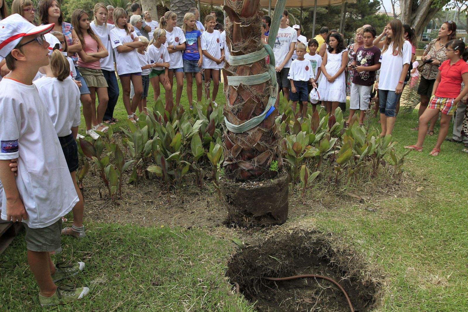 El Árbol de la Vida plantado por los niños bielorrusos en el verano de 2011.