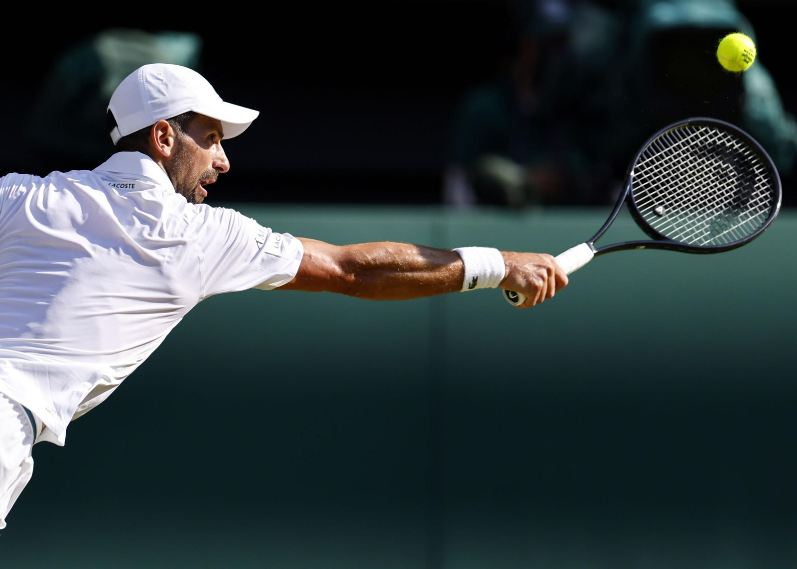 Las mejores imágenes del Sinner - Djokovic Las mejores imágenes del Sinner - Djokovic