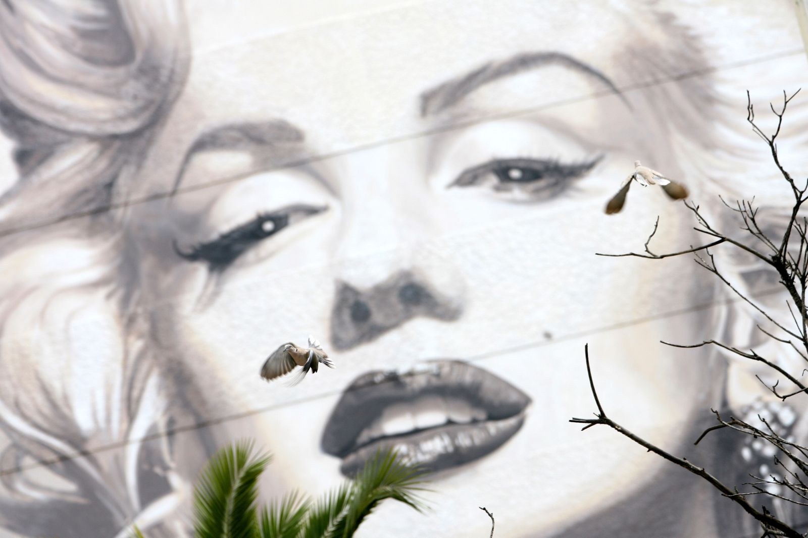 Marilyn Monroe.
