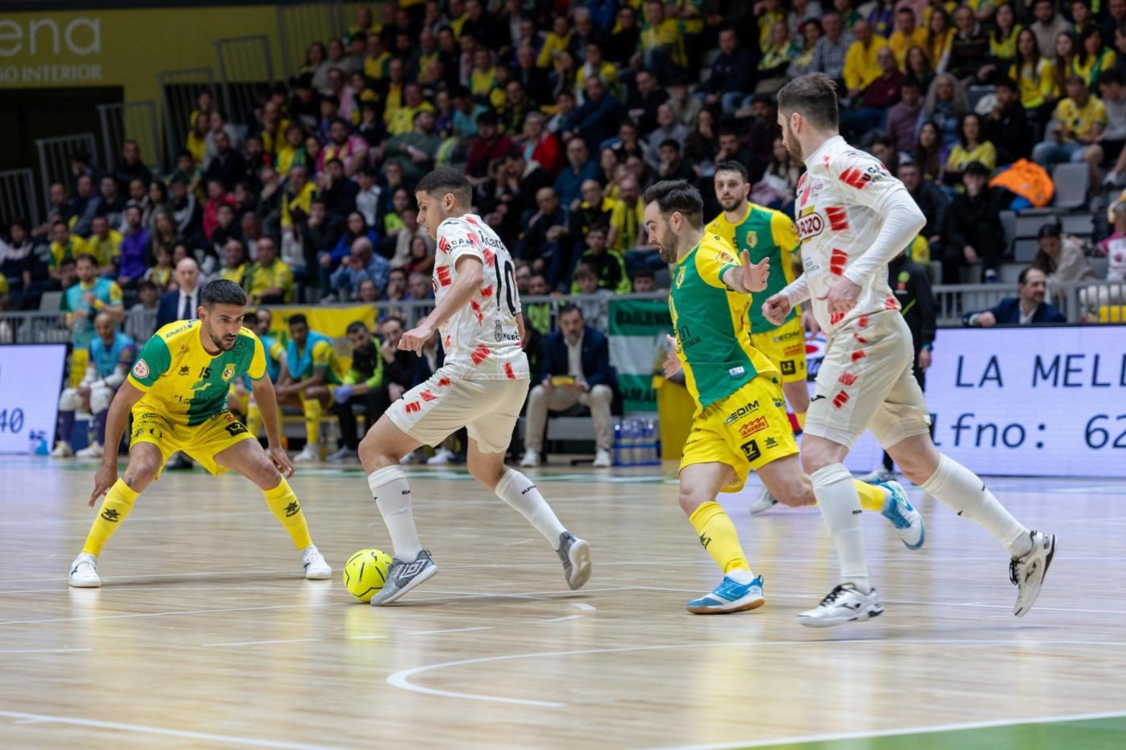 Las mejores fotos del empate entre Jaén Paraíso Interior FS y ElPozo Murcia
