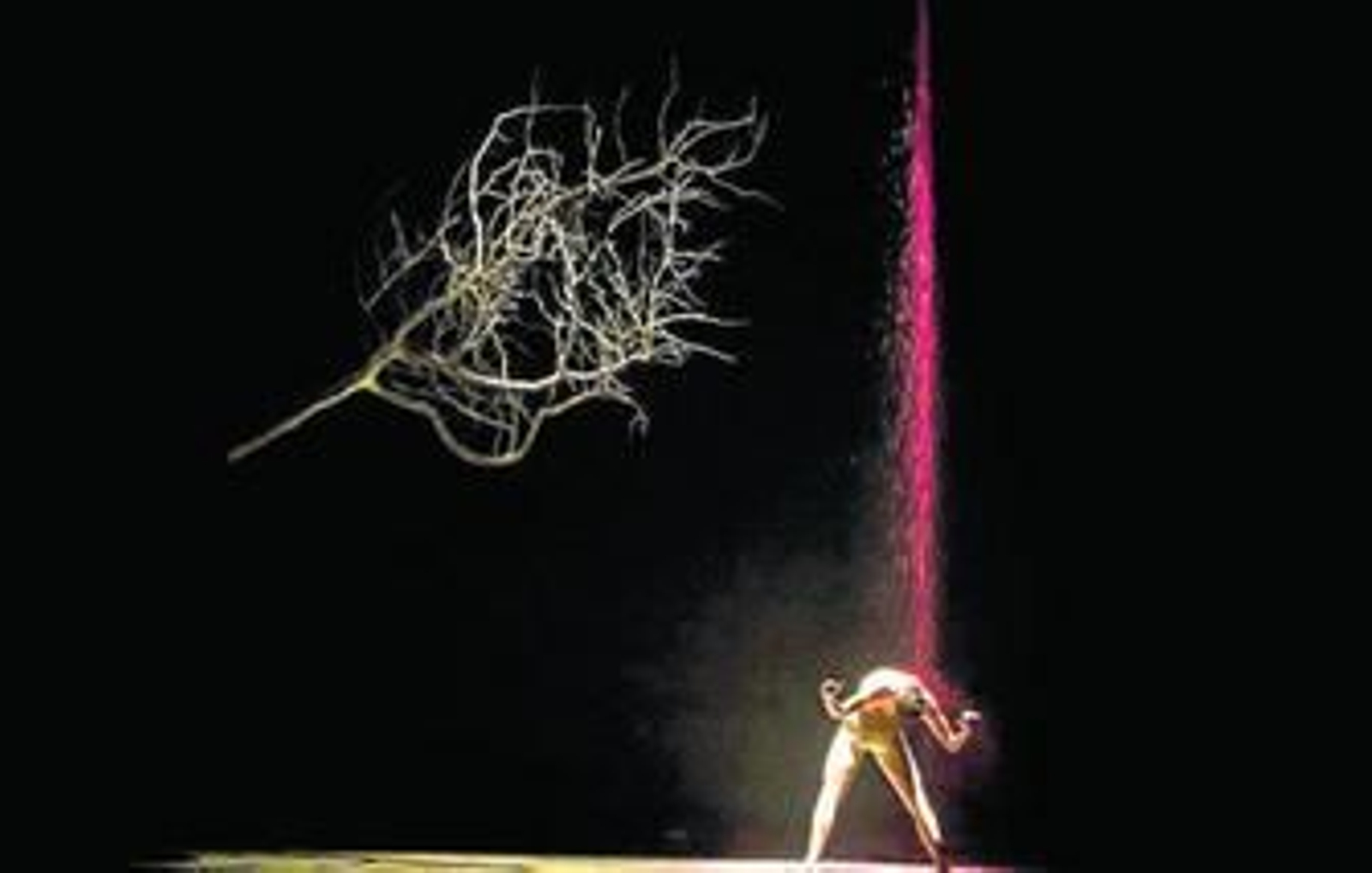 Una escena de la obra 'Drácula' ofrecida en el Teatro Falla en la noche del viernes.