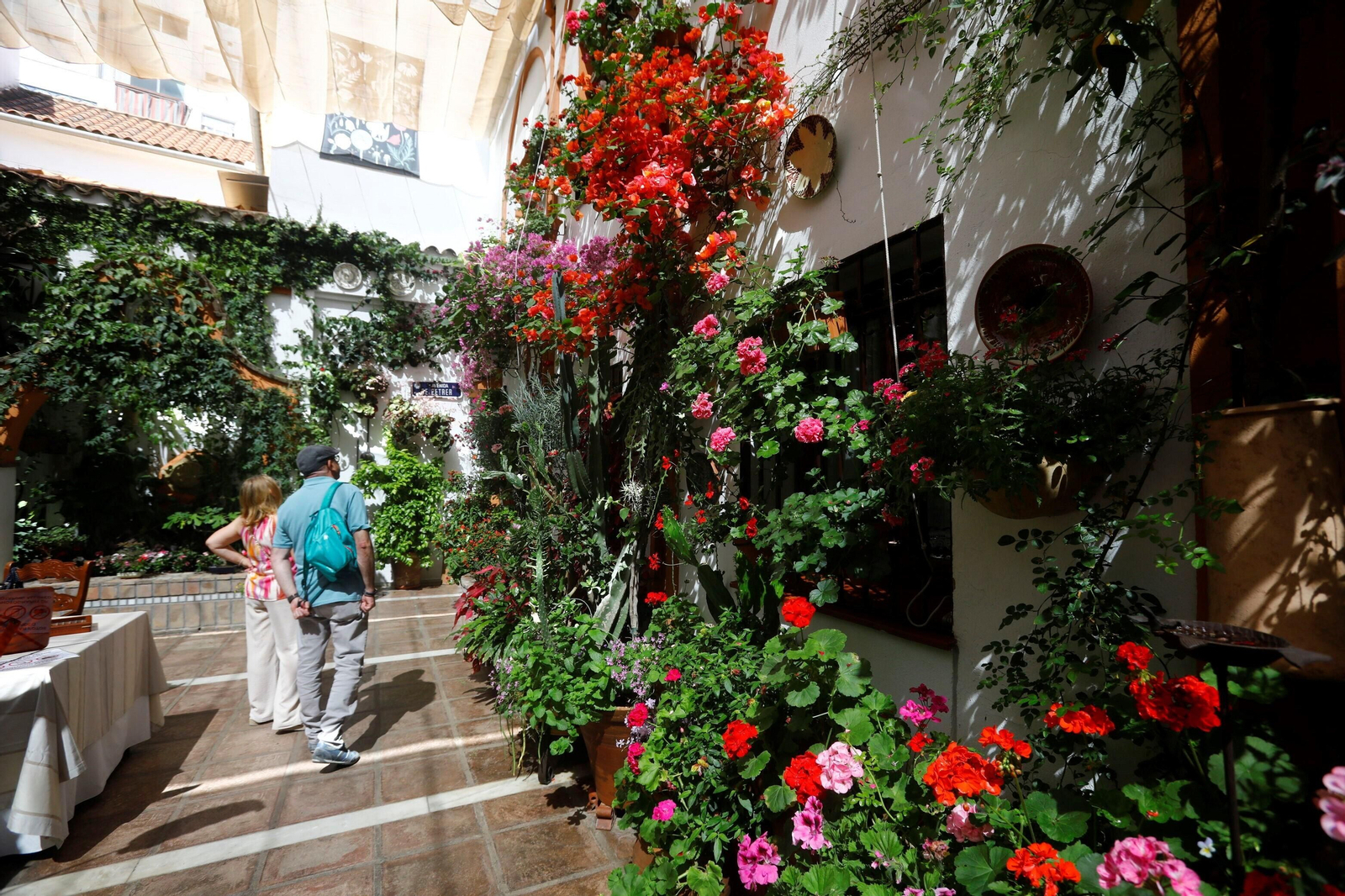 La ruta de Patios Santa Marina-San Agustín, en imágenes