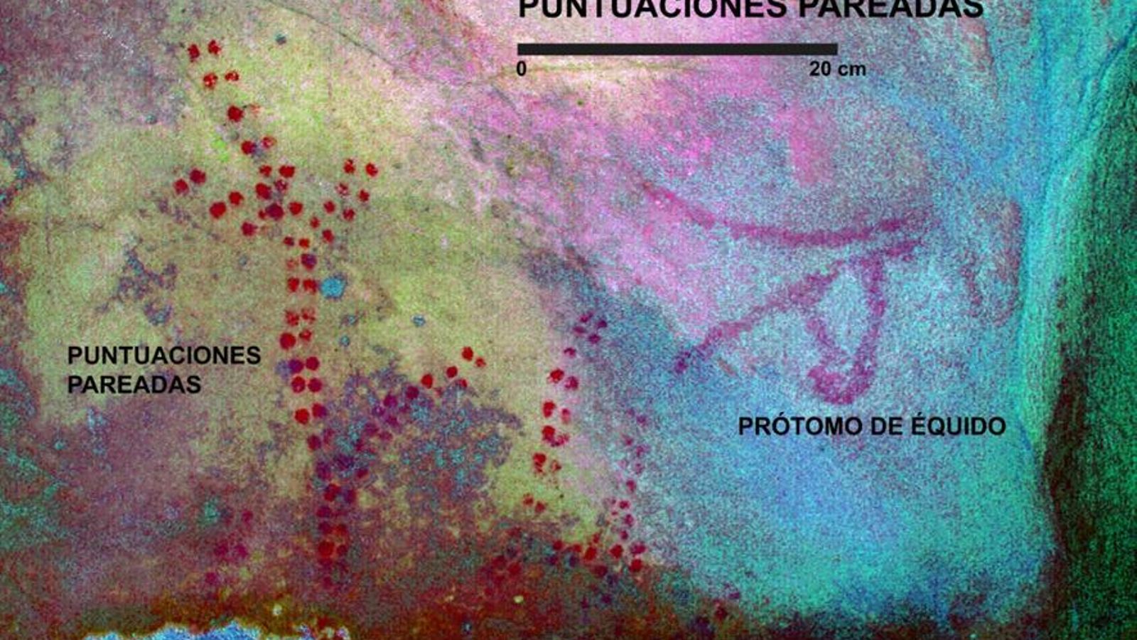 Puntiformes agrupación pareada y prótomo de équido, Palomas I (Tarifa).