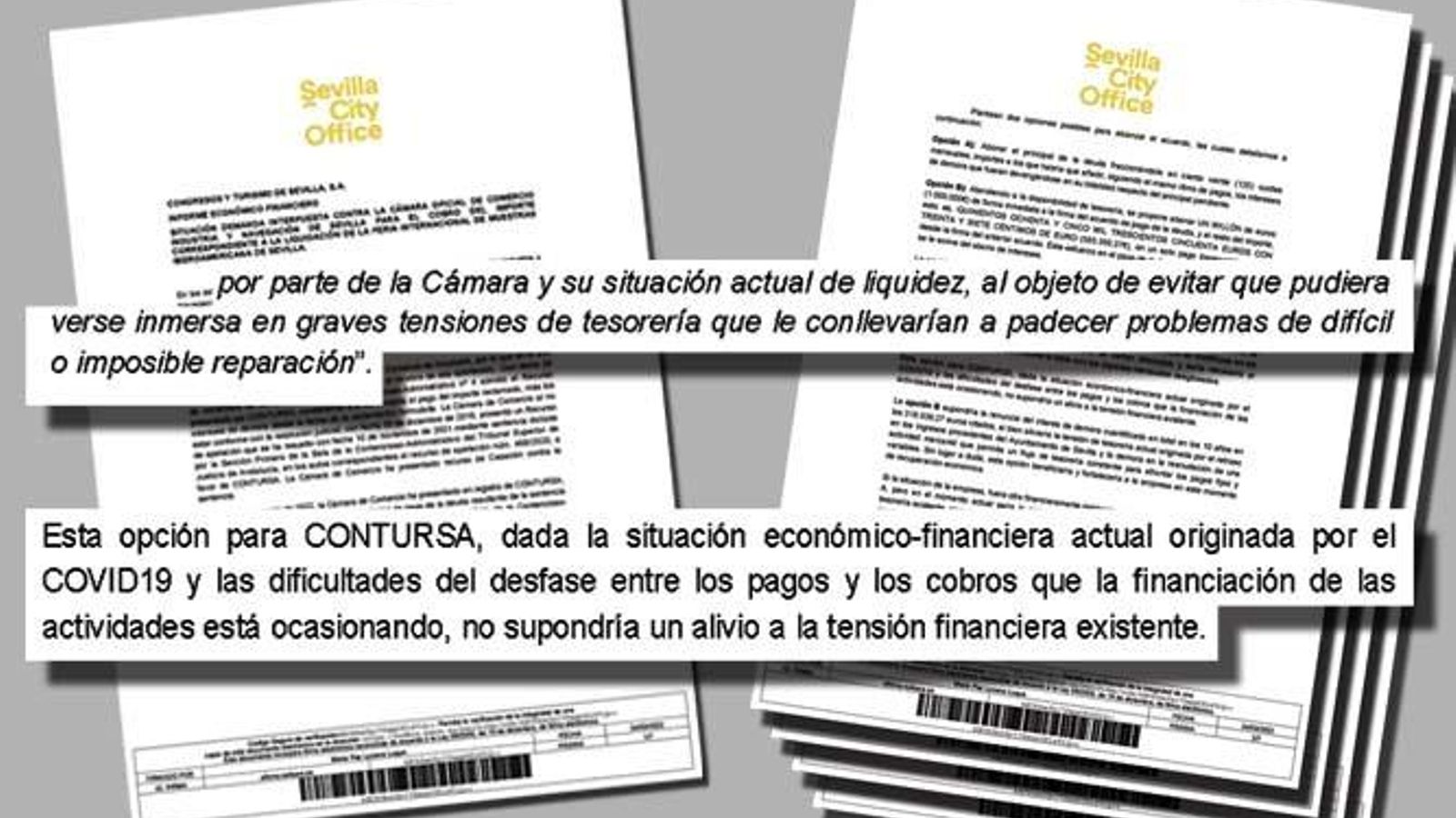 Informe económico financiero de la sentencia.