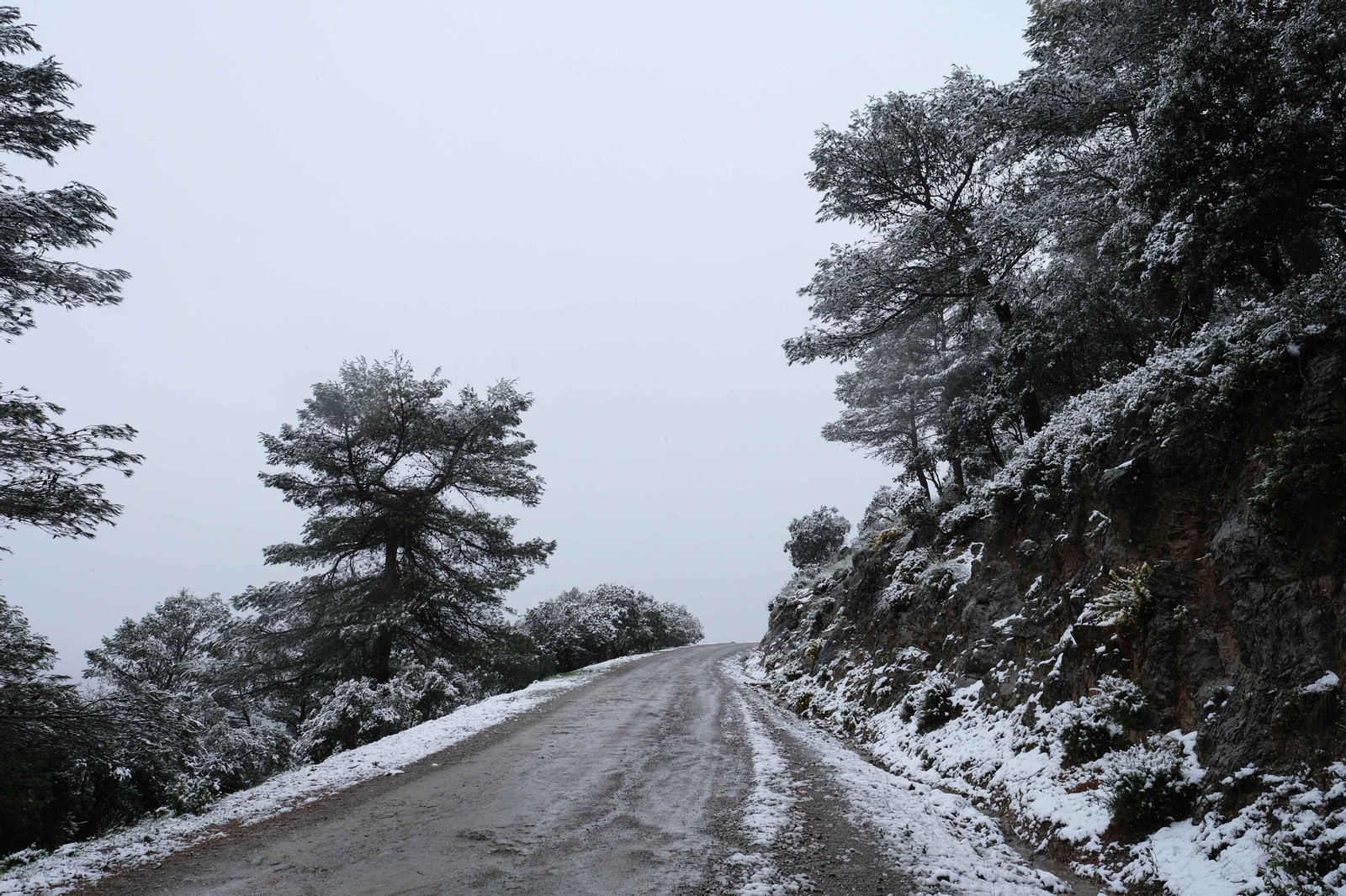 La nueva nevada  en el Parque Nacional Sierra de las Nieves, en fotos