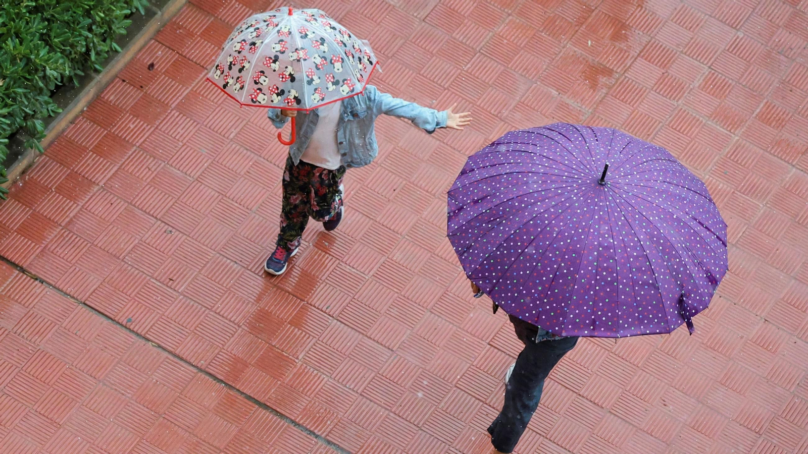 Una familia paseando por el centro de Málaga en un día lluvioso