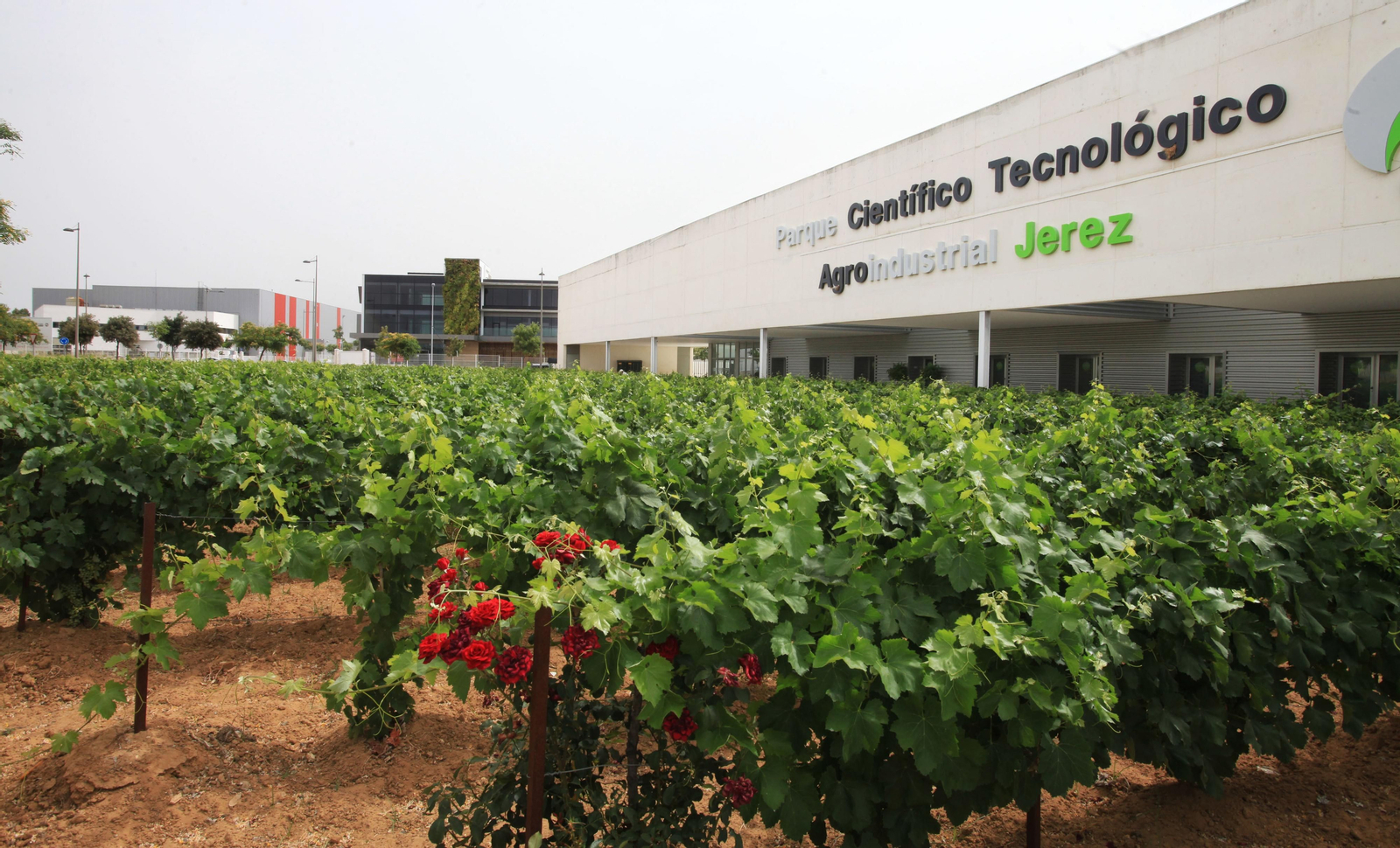 Imagen de archivo del Parque Científico Tecnológico Agroindustrial de Jerez