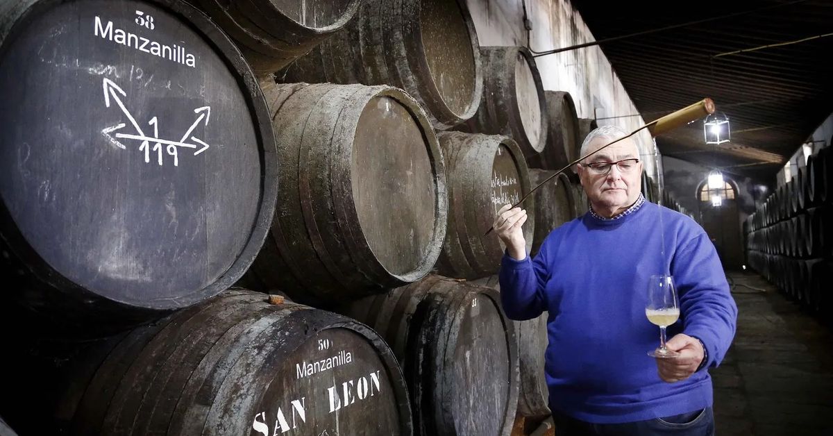 Francisco Yuste: "Argüeso no se ha vendido"