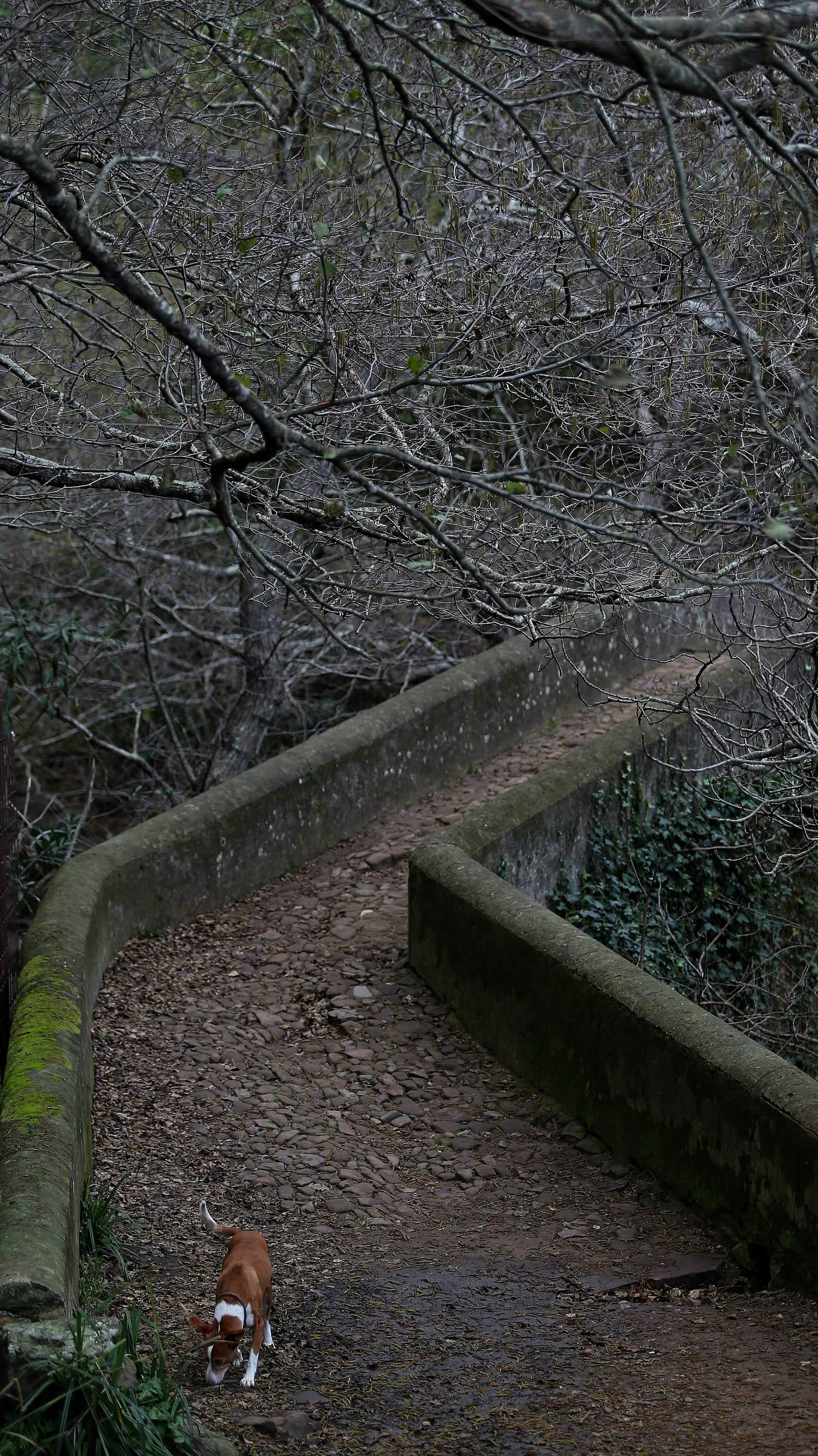 Las mejores fotos del sendero del Río de la Miel