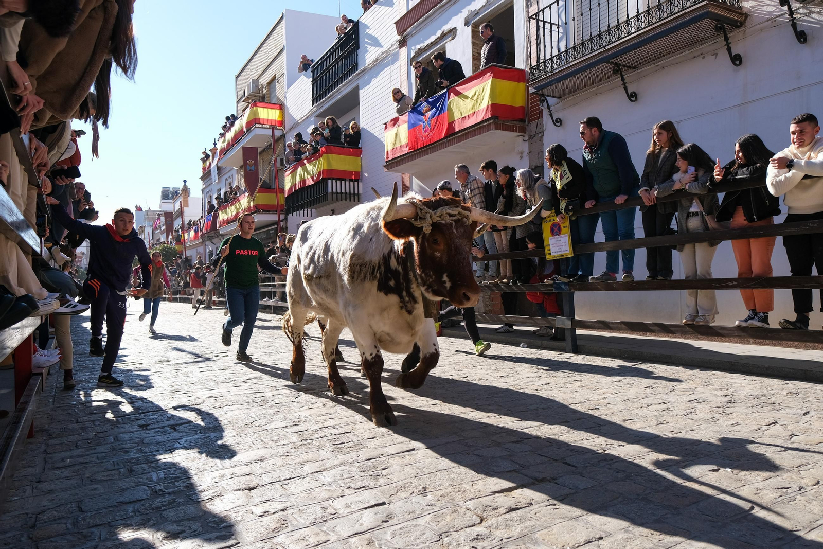 Las imágenes de los festejos de San Sebastian en Puebla del Río
