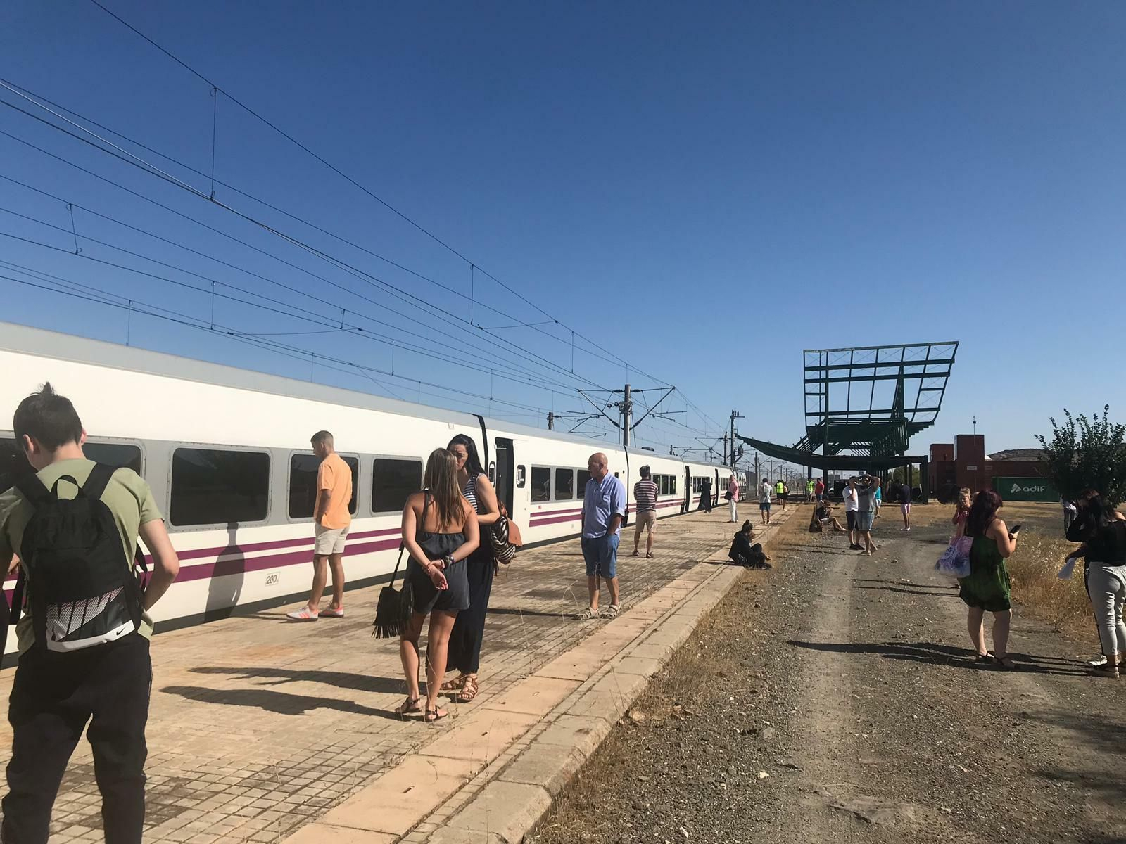 El tren, parado este lunes junto a la estación de Ciudad Real
