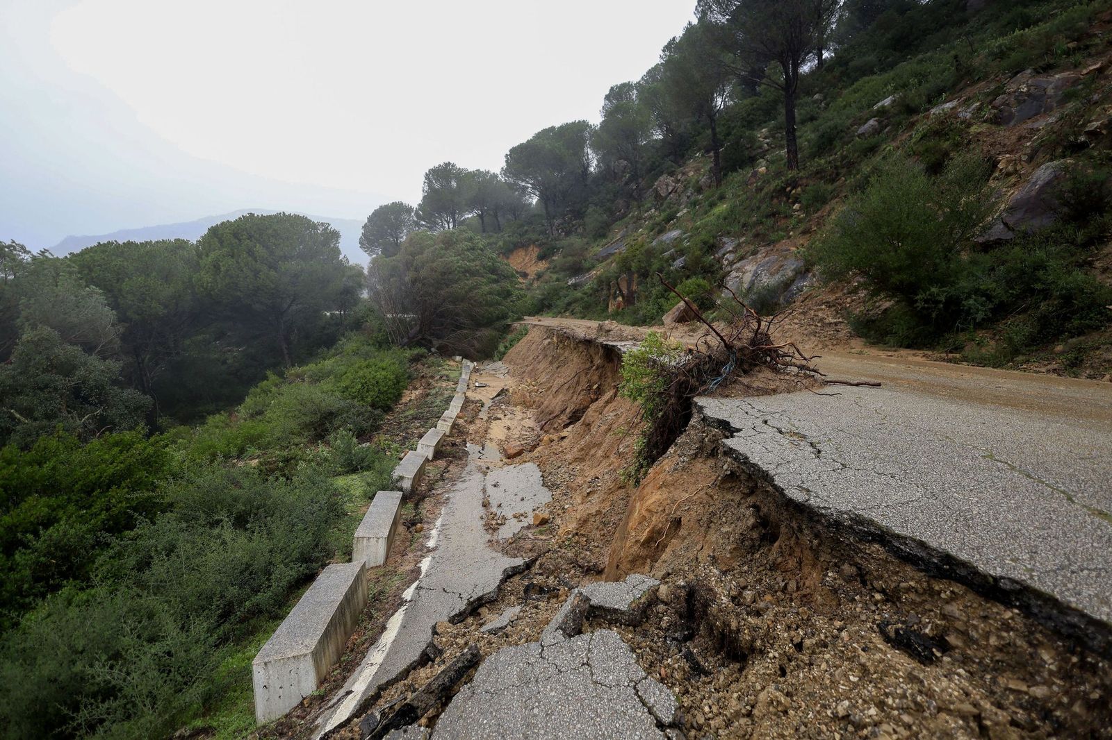 Desprendimiento de la carretera 8201 de Jimena de la Frontera a Ubrique el pasado miércoles.