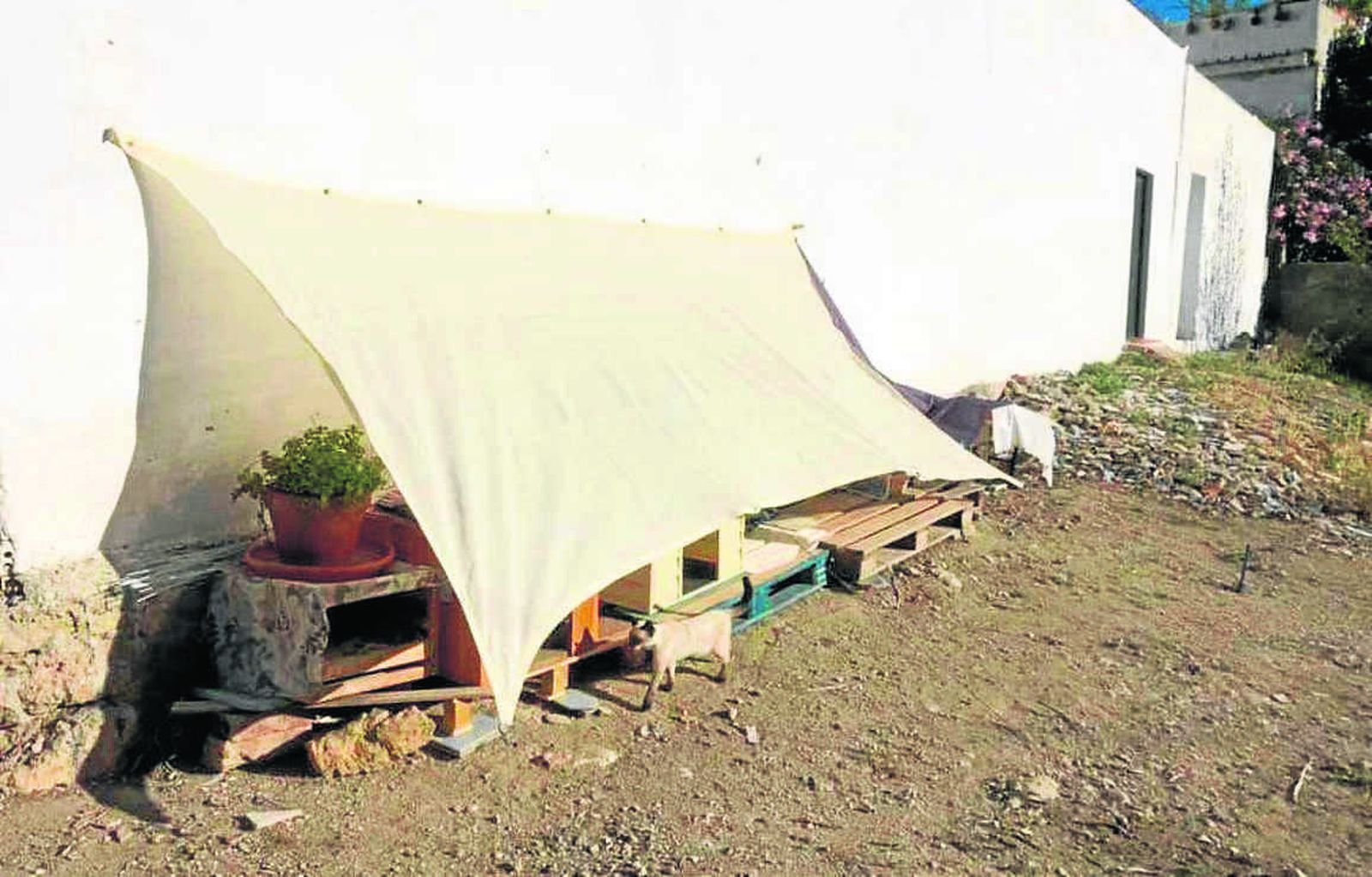 Uno de los refugios creados para los gatos.