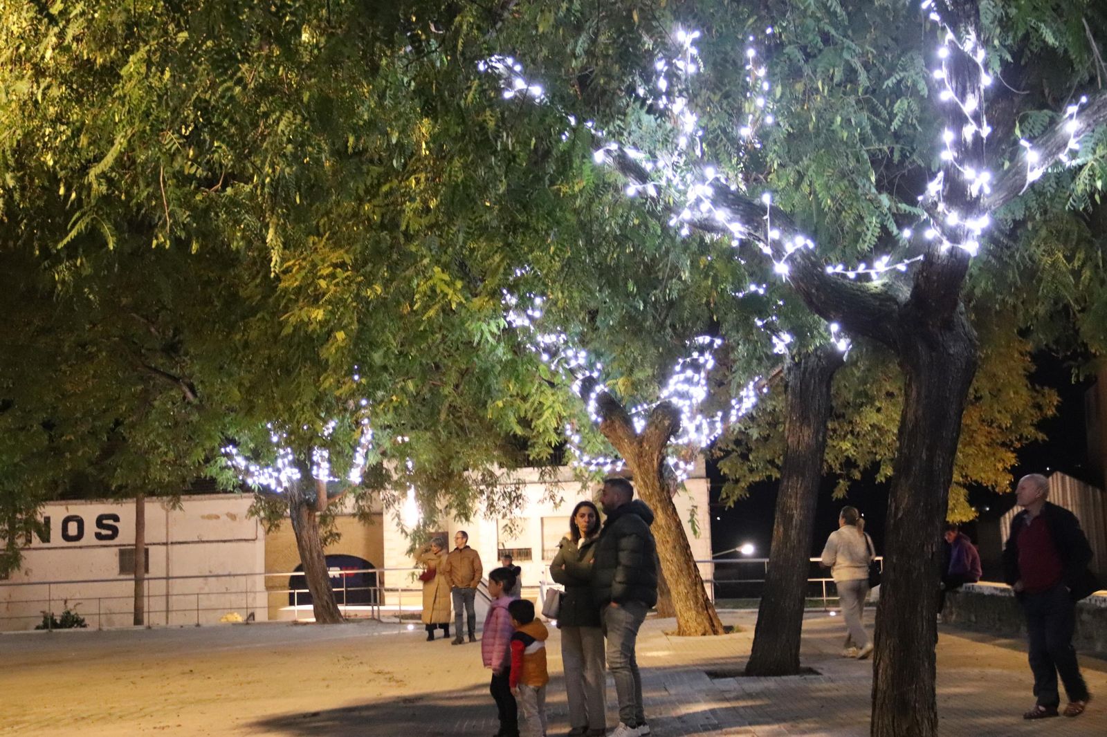 El encendido del alumbrado de Navidad en Montilla