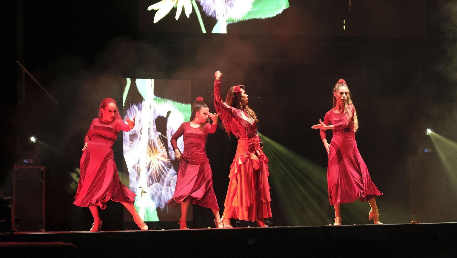 Imágenes del espectáculo 'The Talent' en la Gala XV Aniversario Diario de Almería