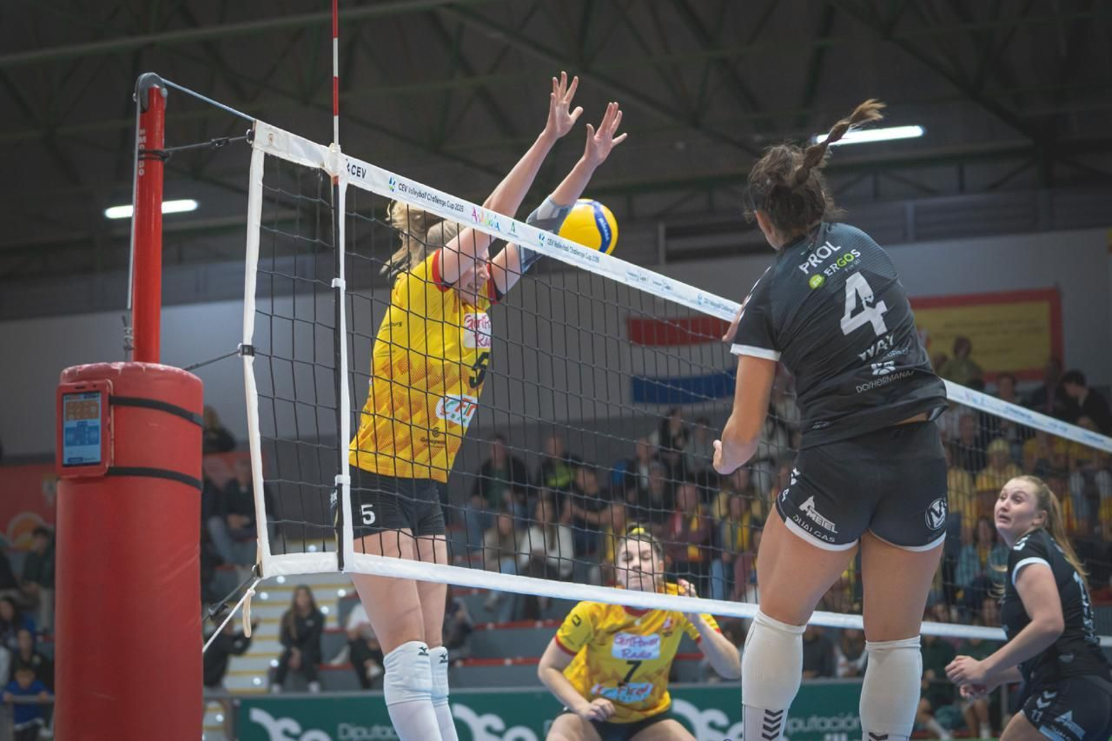 Las fotos del Fundación Cajasol Andalucía-Dynamo Apeldoorn