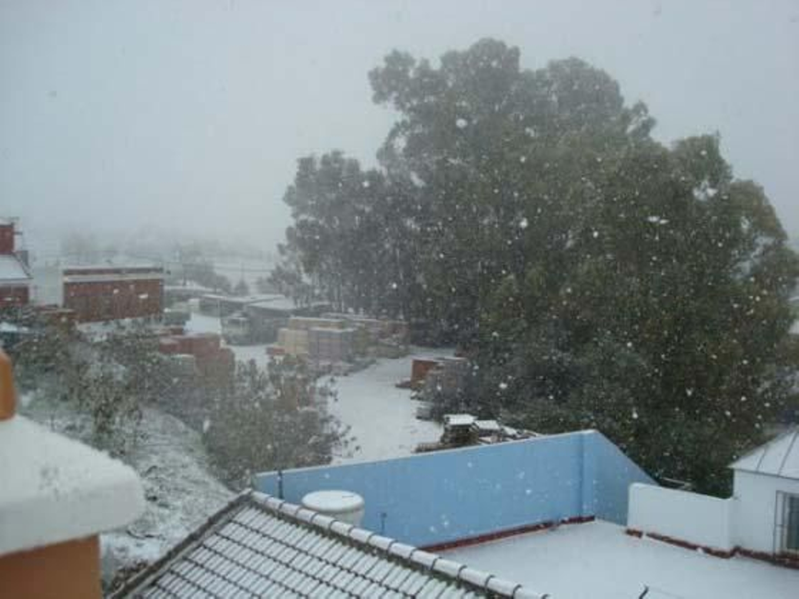 Foto: Carlos Muñoz, Edu, Auxi Nuevo, José Puerto