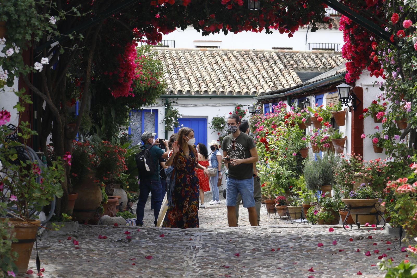 Fotografías: Sábado de colas y bulla en los Patios de Córdoba