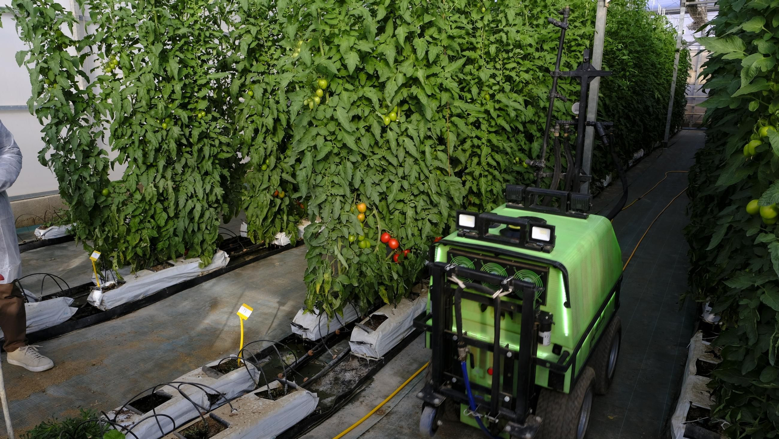 Jornada de puertas abiertas en la Estación Experimental Cajamar Las Palmerillas, en fotos