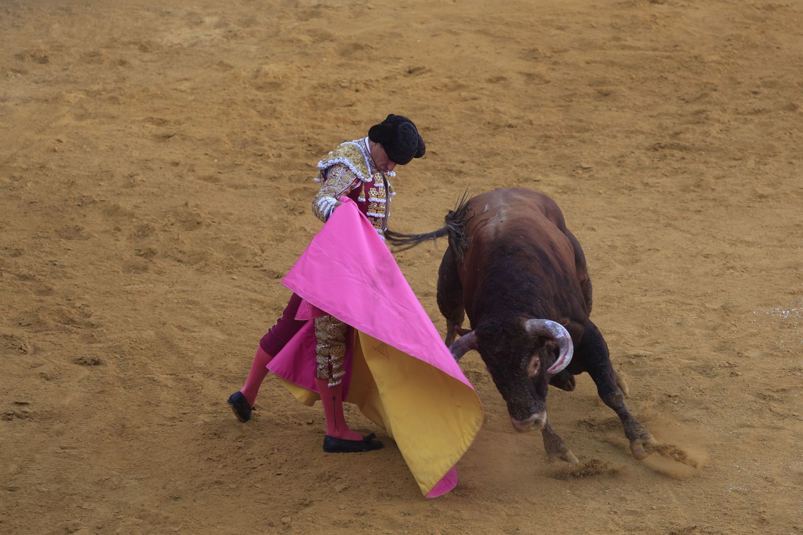 Fotos de la corrida de toros de la Feria de San Roque con David Galván, Román y Joaquín Galdós